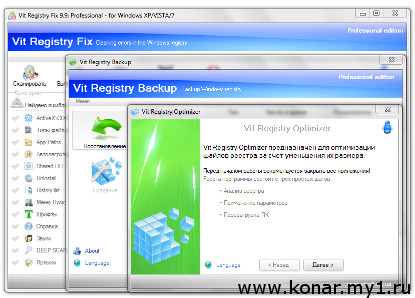 Vit Registry Fix Professional